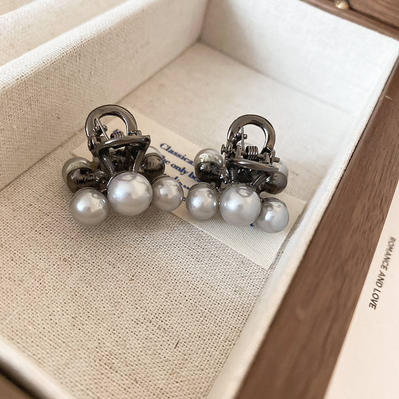 Mini griffes de cheveux en Imi - Travel Accessories Aesthetic avis et prix